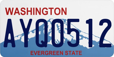 WA license plate AYQ0512