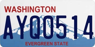 WA license plate AYQ0514