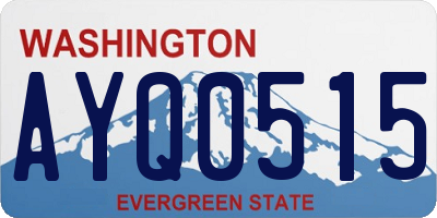 WA license plate AYQ0515