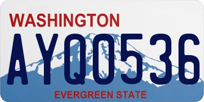 WA license plate AYQ0536