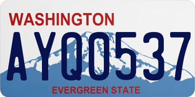 WA license plate AYQ0537