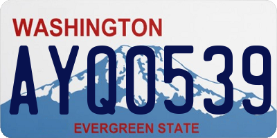 WA license plate AYQ0539