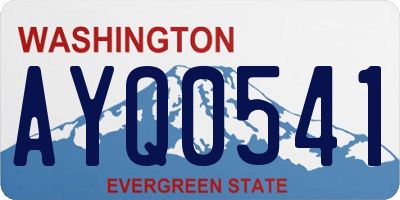 WA license plate AYQ0541