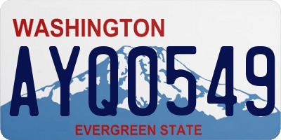 WA license plate AYQ0549