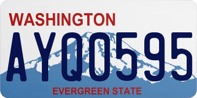 WA license plate AYQ0595