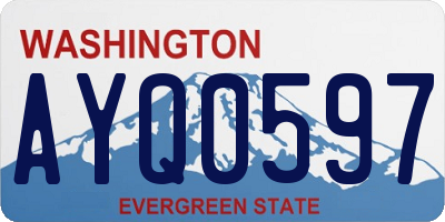 WA license plate AYQ0597