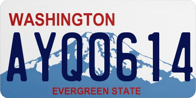 WA license plate AYQ0614