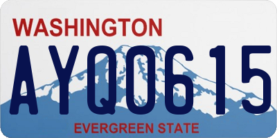 WA license plate AYQ0615