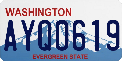 WA license plate AYQ0619