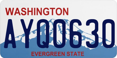 WA license plate AYQ0630