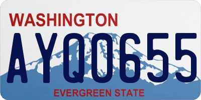 WA license plate AYQ0655