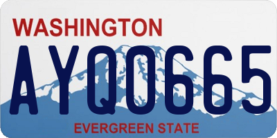 WA license plate AYQ0665