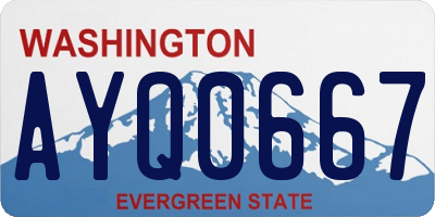 WA license plate AYQ0667