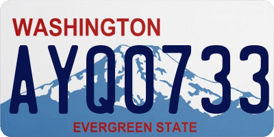 WA license plate AYQ0733