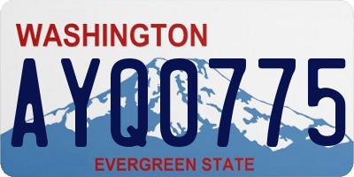 WA license plate AYQ0775