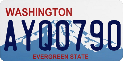 WA license plate AYQ0790