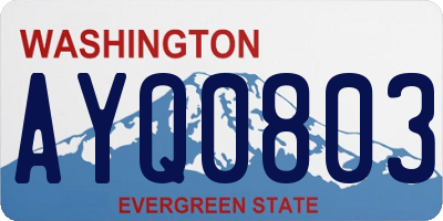 WA license plate AYQ0803