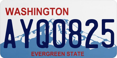 WA license plate AYQ0825
