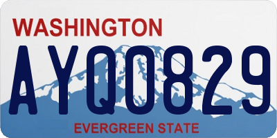 WA license plate AYQ0829