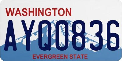 WA license plate AYQ0836