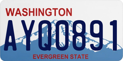 WA license plate AYQ0891