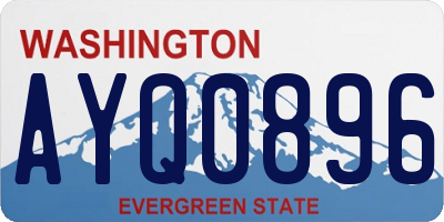WA license plate AYQ0896