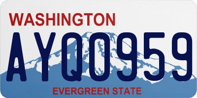 WA license plate AYQ0959