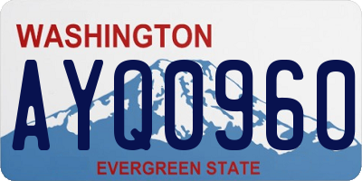 WA license plate AYQ0960