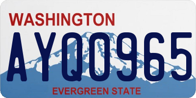WA license plate AYQ0965