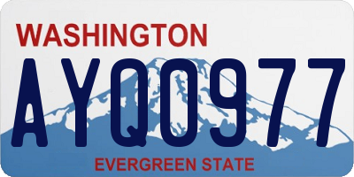 WA license plate AYQ0977