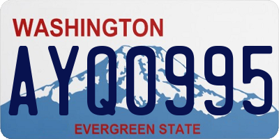 WA license plate AYQ0995