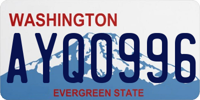 WA license plate AYQ0996