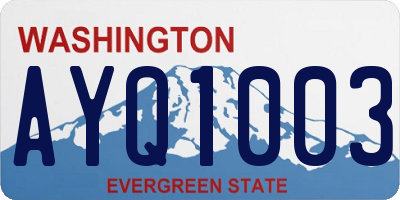 WA license plate AYQ1003