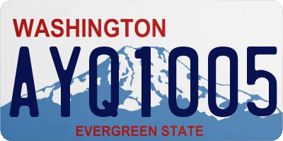 WA license plate AYQ1005