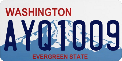 WA license plate AYQ1009