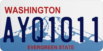 WA license plate AYQ1011