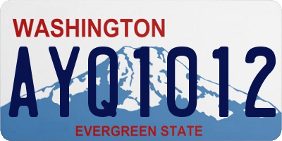 WA license plate AYQ1012