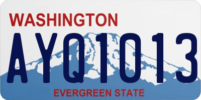 WA license plate AYQ1013