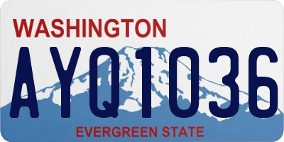 WA license plate AYQ1036