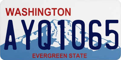 WA license plate AYQ1065