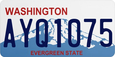 WA license plate AYQ1075