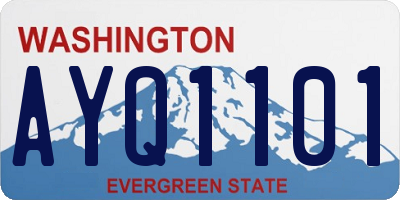 WA license plate AYQ1101