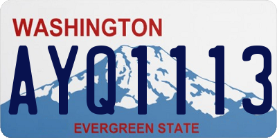 WA license plate AYQ1113