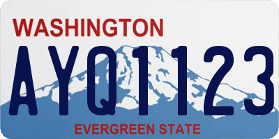 WA license plate AYQ1123