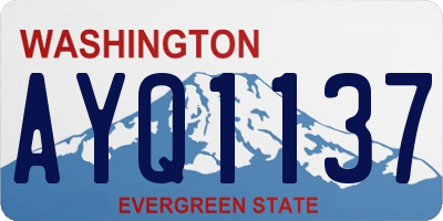 WA license plate AYQ1137
