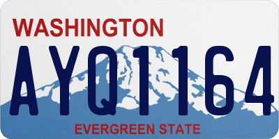 WA license plate AYQ1164