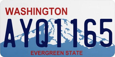 WA license plate AYQ1165
