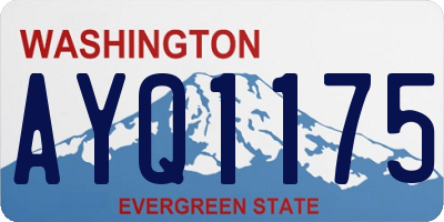 WA license plate AYQ1175