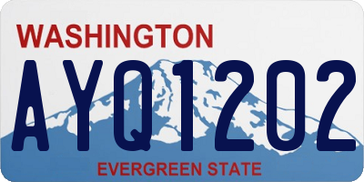 WA license plate AYQ1202