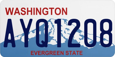 WA license plate AYQ1208
